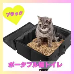 Item thumbnail for item f0dc1a1b-6c64-4619-8ae0-89bc2ec395c8