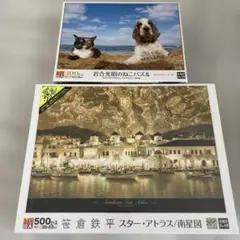 笹倉鉄平　ノーザンスターアトラス　1000ピース　光るパズル スター・アトラス／南星図 ー 笹倉鉄平 | エポック社公式