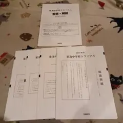 書き込み消去済】日能研 全国テスト 2024 小3 国語 算数 - メルカリ