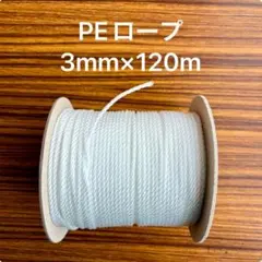 Item thumbnail for item 77f981a9-f773-4f3d-b91f-40fb6473c8d9