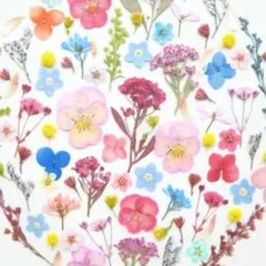 ちなつ様 リクエスト 2点 まとめ商品