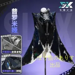 ゼンレスゾーンゼロ プロメテア コスプレ衣装 フルセット M