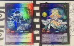 匿名配送】コスモスター ２種