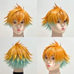 R様 ウィッグ確認ページ