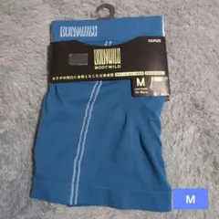 Item thumbnail for item 48f31b66-83a0-465c-bb8f-775bb4c03d72