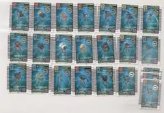 ムシキング　カード　パラレルコレクション　23枚