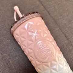 韓国限定 韓国スタバ コールドステンレスタンブラー 591ml ピンク キズあり