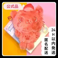 COLOR WISHDOLL リク クリ ぬいぐるみ キーリング 赤 レッド