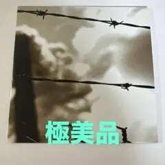 2026年最新】kαin cdの人気アイテム - メルカリ