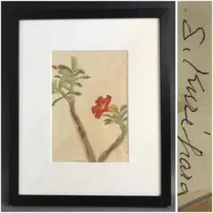 美術品　洋画家 市川加久一 「蘭花」 旺玄会常任委員 絵画 美術品 洋画家 市川加久一 「蘭花」 旺玄会常任委員 絵画 - メルカリ