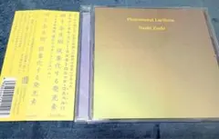 Zushi Naoki　現象化する発光素