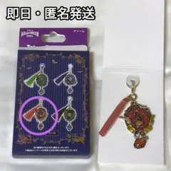 ディズニーハロウィン2024　ヴィランズチャーム　フック船長　ピーターパン