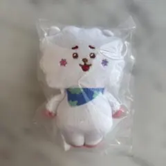 BT21 FuwaFuwa Mascot 4 RJ