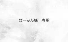 むーみん様専用ページ