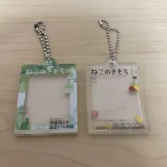 ねこのきもち だれでもアクリルチャーム　ガチャガチャ　2個セット　カプセルトイ