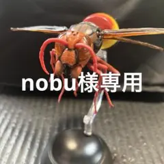 nobu様専用