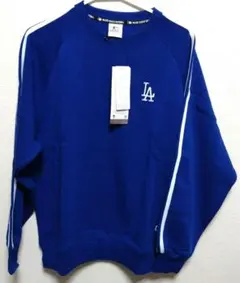 Item thumbnail for item 8e435e26-1fe1-4ec1-a827-a4372b3bb20c