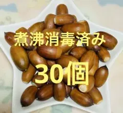 どんぐり　　30個