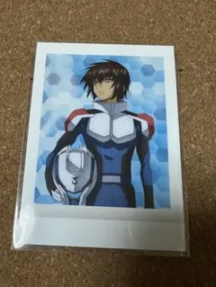 2025年最新】カードダス 機動戦士ガンダム SEED FREEDOMの人気