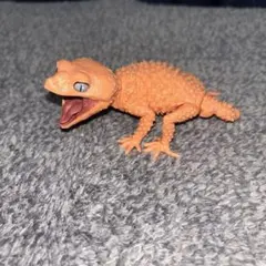 Item thumbnail for item 561fbb46-b20a-41a6-acf8-a4644202f271