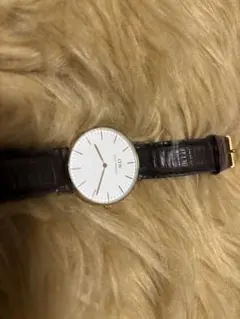 Daniel Wellington 腕時計 ブラウンレザー