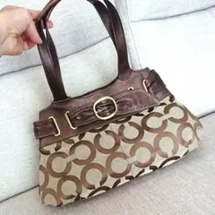 Item thumbnail for item e31bca05-8ee0-42a7-a144-afe8422f4379