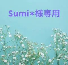 Sumi✶様専用