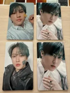 straykids スキズ チャンビン GIANT トレカ