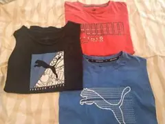 PUMA Tシャツ 3点セット