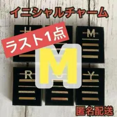 ラスト1点限り【ゴールド】Apple Watch バンド イニシャルチャーム M