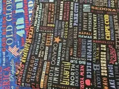 大大大SALE✨【廃番】USA fabric 2枚アソート
