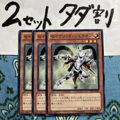遊戯王 セイクリッドシェラタン 3枚セット 2セットタダ割☆ギム EDS13Xx