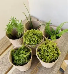 ぎん様 リクエスト 2点 まとめ商品