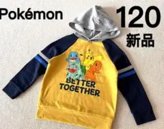 ポケットモンスター 120