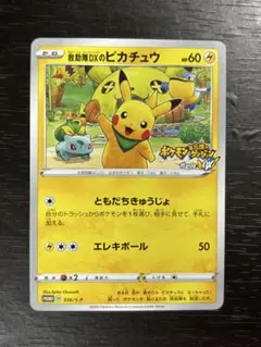 ポケモンカード　まとめ売り　20枚　救助隊DXのピカチュウ　ギャラドス　プロモ ポケカ】救助隊DXのピカチュウ プロモの最新相場情報や値段の