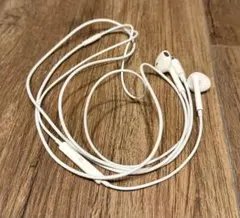 Apple純正 EarPods （Lightningコネクタ）のサムネイル