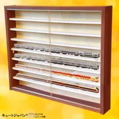 値下げ☆ディスプレイ 鉄道模型収納 ラック アクリル扉付 マホガニ色