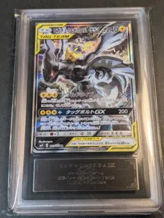 2025年最新】ピカチュウ&ゼクロムgx arsの人気アイテム - メルカリ