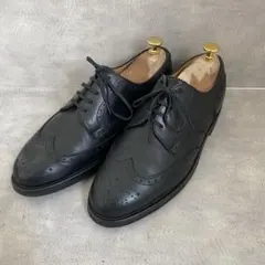 REGAL リーガル GEOX SYSTEM ウイングチップ レザー 革靴