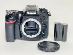 Item thumbnail for item 6cf2de87-50a9-428f-baf4-2b255f17af9a