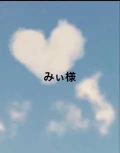 みぃ様　専用