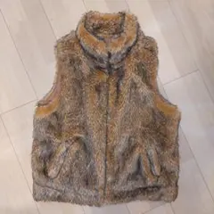 ブラウンファーベスト