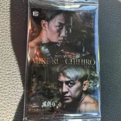 RIZINウエハース　シークレット