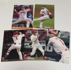 プロ野球 プロチ プロ野球チップス 広島 カープ 栗林良吏 前田智徳 梵英心