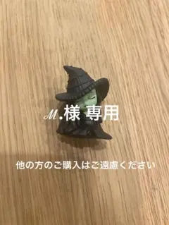 ℳ.様専用ページ