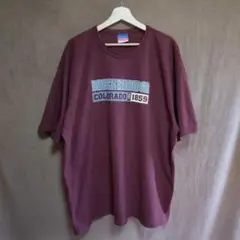 チャンピオン Ｔシャツ