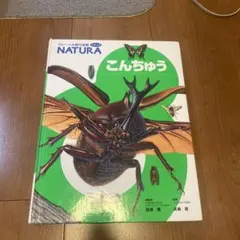 Item thumbnail for item fa8ec761-6595-45b8-9192-b19b6ae45054