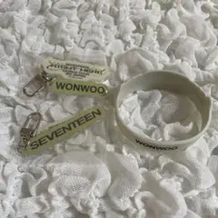 seventeen セブチ right here カプセルトイ ウォヌ　ヒポチ