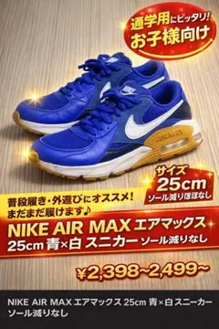 NIKE AIR MAX エアマックス 25cm 青×白 スニーカー