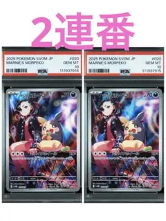 マリィのモルペコ AR仕様 マリィのモルペコ&オーロンゲex PSA10 2連番